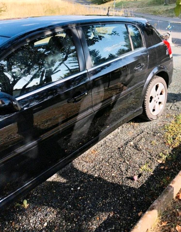 Opel Signum 2008 — photo 5