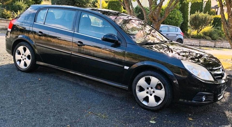 Opel Signum 2008 — photo 7