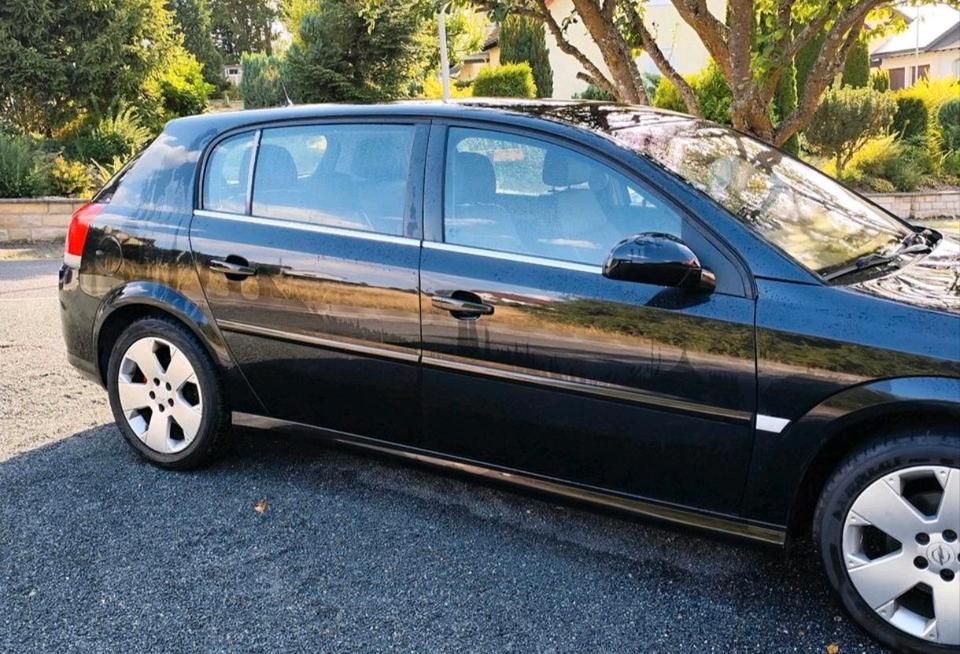 Opel Signum 2008 — photo 8