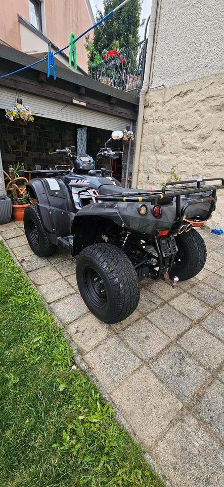 Weitere Motorräder Gelöscht • TGB BLADE 4x4 2009 — vehicle for AFU Ukraine