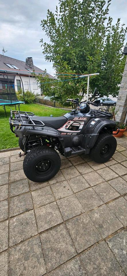 Weitere Motorräder Gelöscht • TGB BLADE 4x4 2009 — rear view