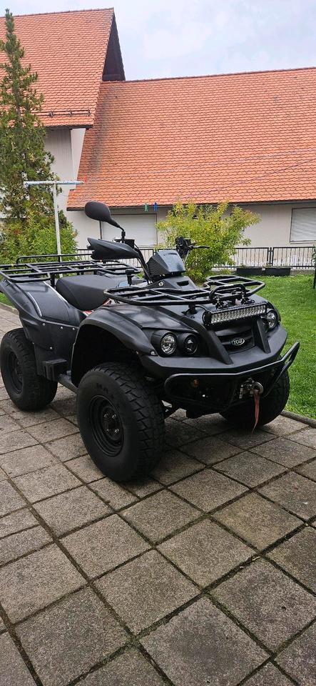 Weitere Motorräder Gelöscht • TGB BLADE 4x4 2009 — engine