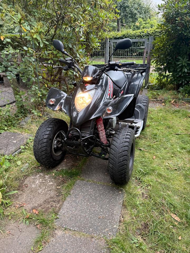 Kymco Gelöscht • Quad Kymco KXR 250 Sport 2005 — rear view