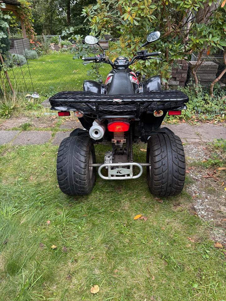 Kymco Gelöscht • Quad Kymco KXR 250 Sport 2005 — interior