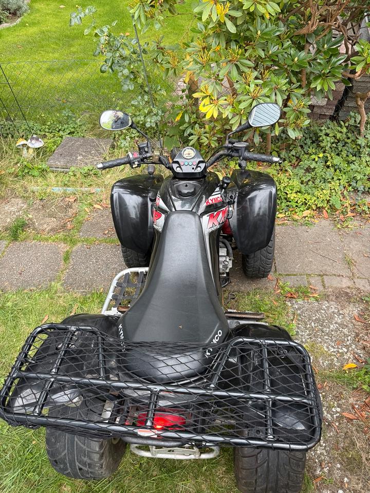 Kymco Gelöscht • Quad Kymco KXR 250 Sport 2005 — photo 5
