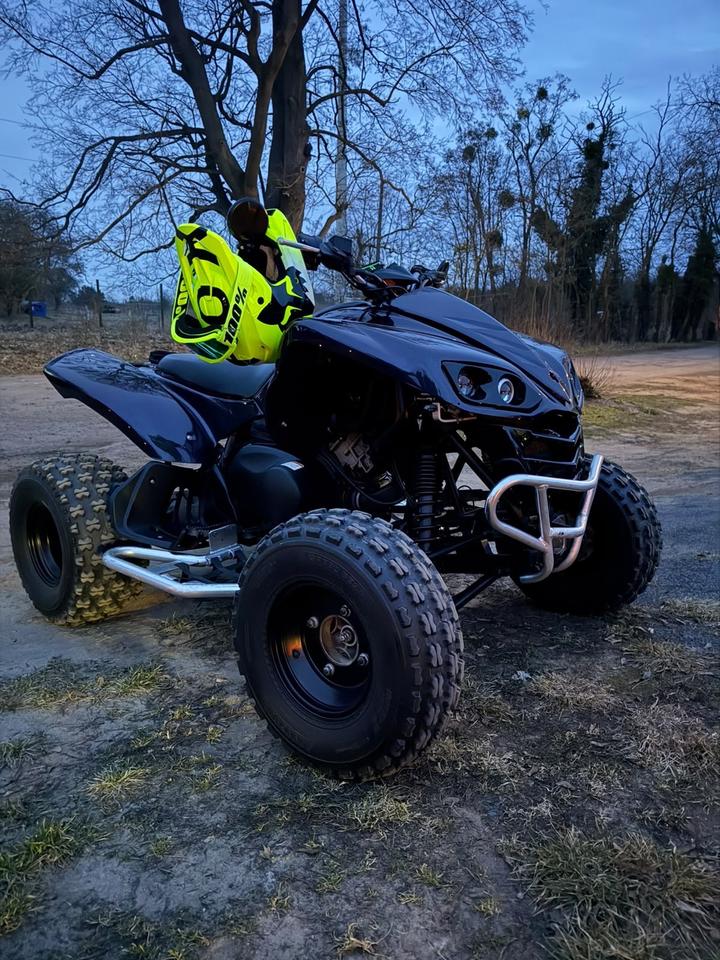 Kawasaki KFX 700 mit LOF 2006 — rear view