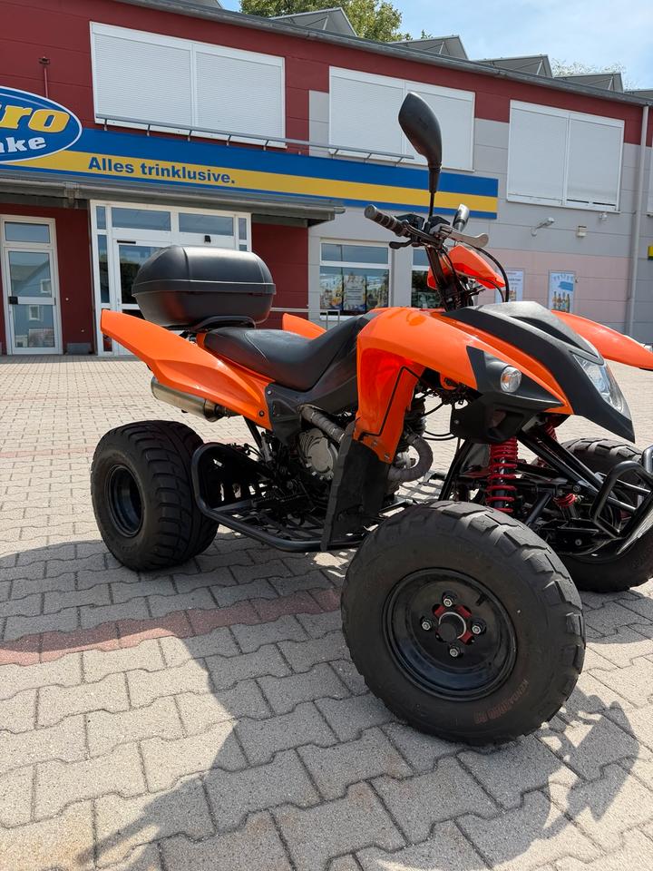 Weitere Motorräder Adly Hurricane 300xs Quad 2013 — вигляд ззаду