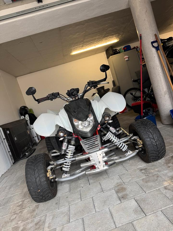  Quad Triton 450 R LOF Zulassung 2009 — photo 7