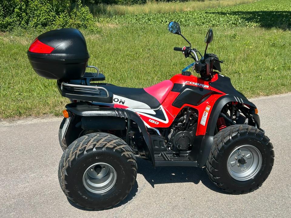 Weitere Motorräder Aeon Cobra 180 RS2 – Gepflegtes Quad 2004 — rear view