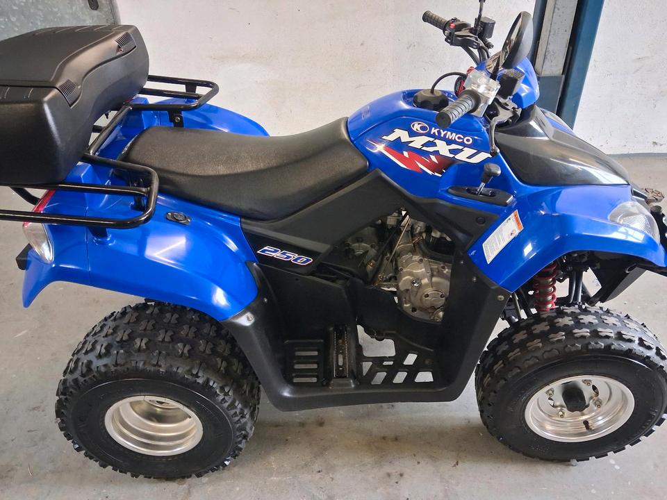 Kymco quad 250 2015 — rear view