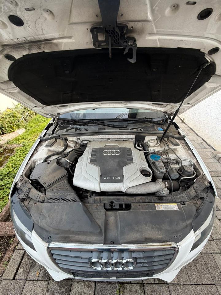 Audi A4 2011 — photo 6
