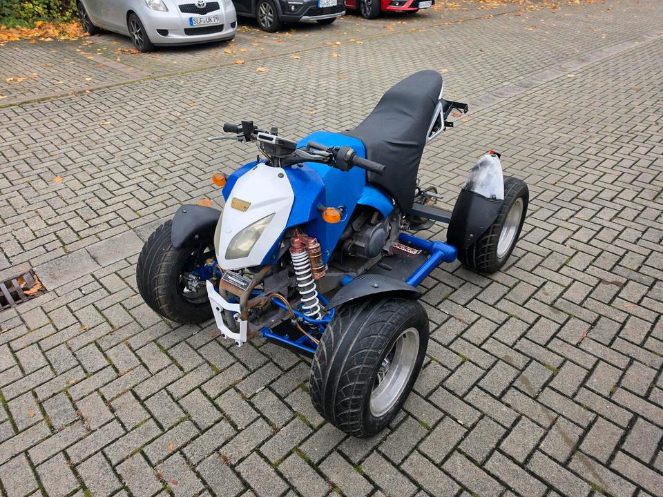 Weitere Motorräder Verkaufe Bashan 300cc Quad mit Straßenzulassung. 2008 — вигляд ззаду