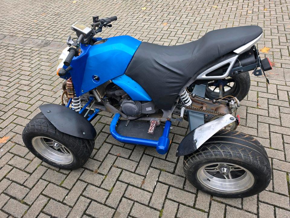 Weitere Motorräder Verkaufe Bashan 300cc Quad mit Straßenzulassung. 2008 — салон