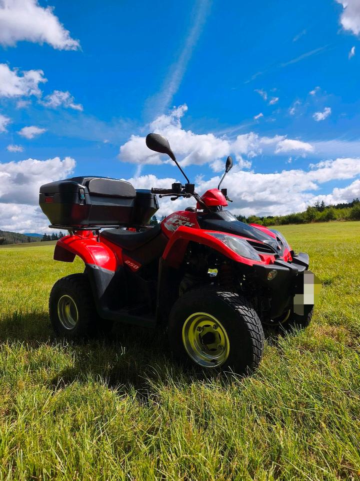 Kymco Quad mit groser Box, 250 ccm 2011 — rear view