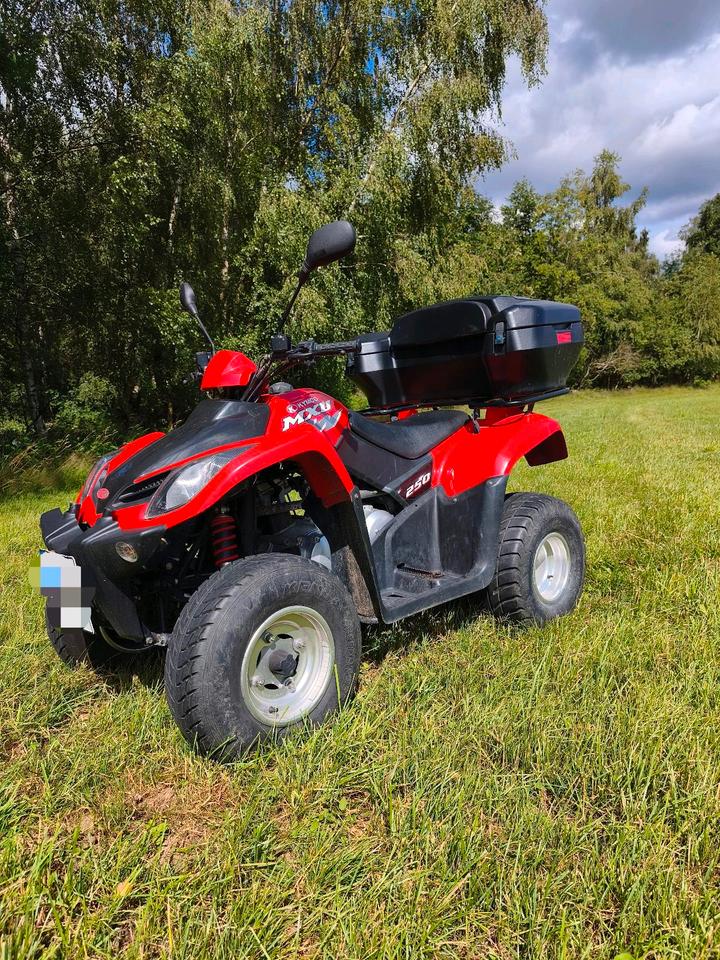 Kymco Quad mit groser Box, 250 ccm 2011 — interior