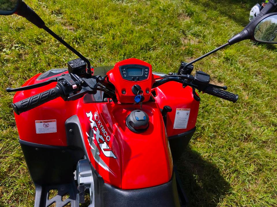 Kymco Quad mit groser Box, 250 ccm 2011 — photo 5