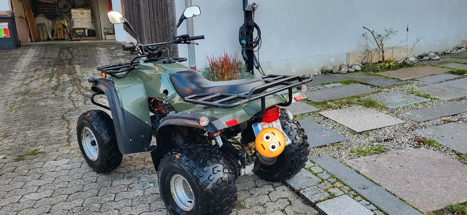 Weitere Motorräder Herkules Adly 300 Utility Quad Hercules ATV, Herchee, no Beeline 2007 — photo 10