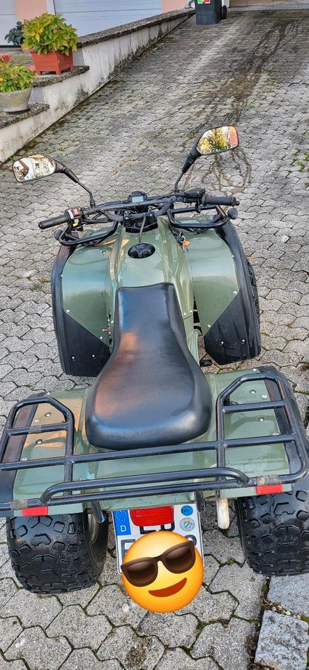 Weitere Motorräder Herkules Adly 300 Utility Quad Hercules ATV, Herchee, no Beeline 2007 — photo 13