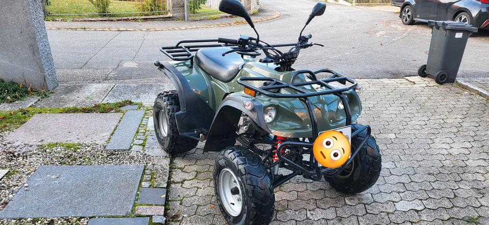 Weitere Motorräder Herkules Adly 300 Utility Quad Hercules ATV, Herchee, no Beeline 2007 — photo 14