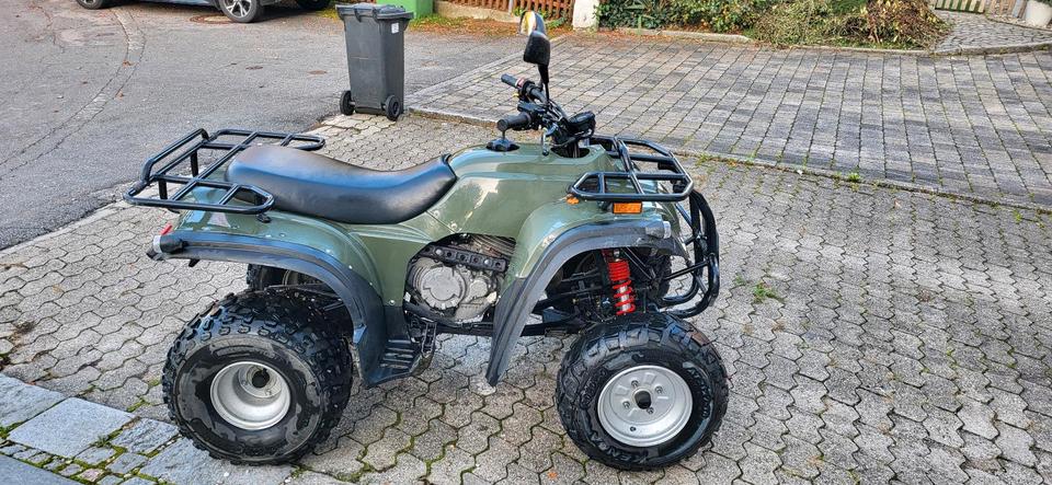 Weitere Motorräder Herkules Adly 300 Utility Quad Hercules ATV, Herchee, no Beeline 2007 — photo 8