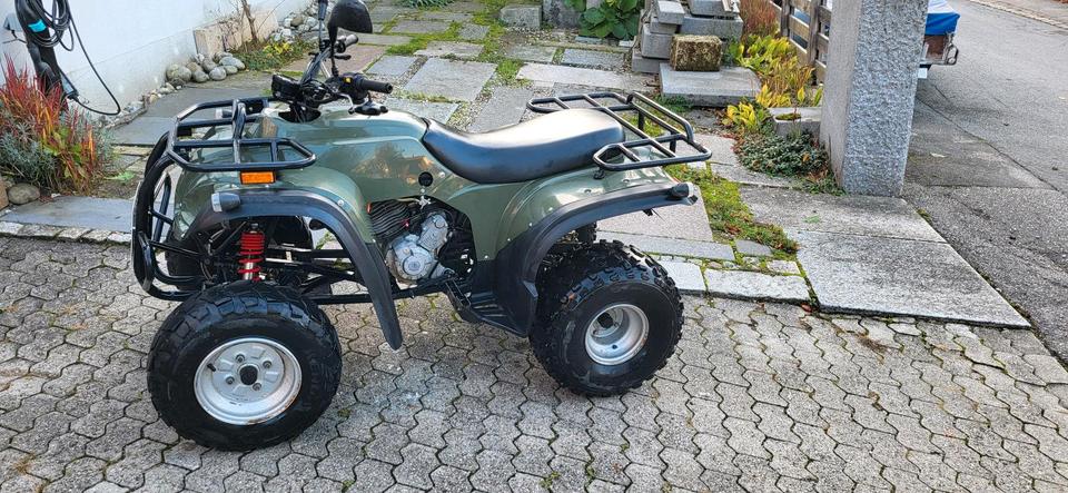 Weitere Motorräder Herkules Adly 300 Utility Quad Hercules ATV, Herchee, no Beeline 2007 — photo 9
