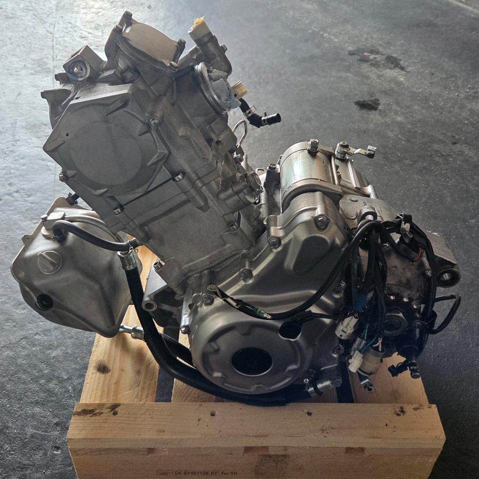 Yamaha Yfm Raptor 700 Motor 2011 — вигляд ззаду