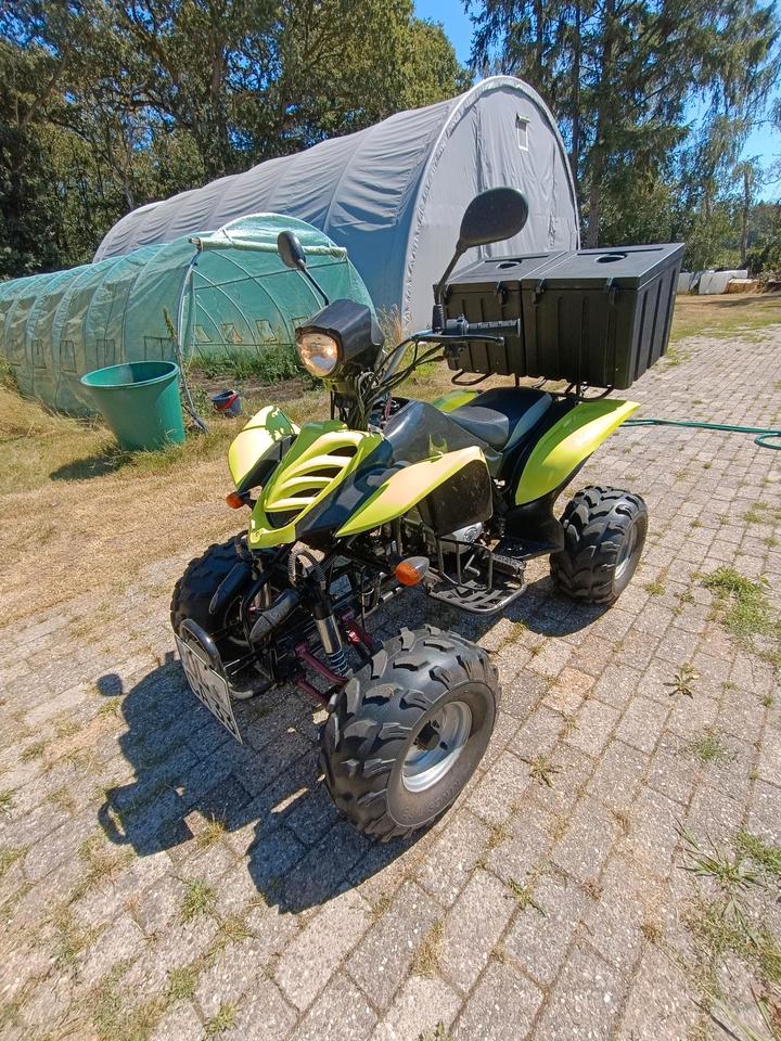 Weitere Motorräder Quad mit Straßenzulassung und TÜV bis 06/27 Tausch möglich, 2006