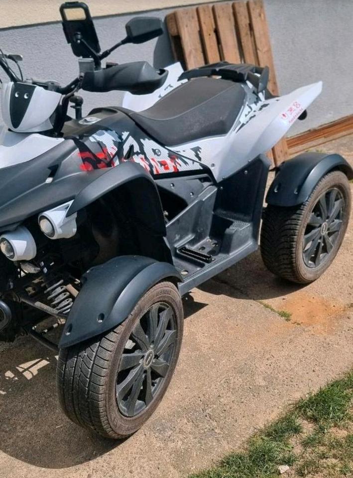  TGB Quad 550 LOF TÜV Neu Anhängerkupplung 2012 — rear view
