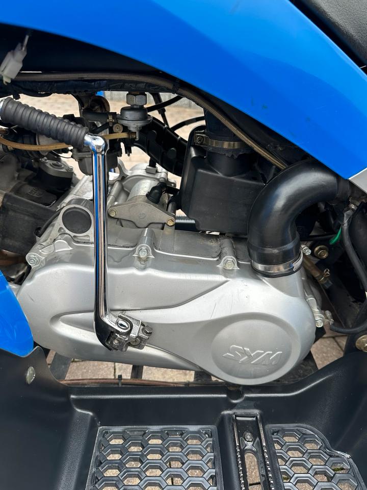 Weitere Motorräder SYM Quad 200 Trackrunner 2007 — photo 8