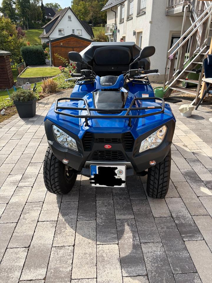 Kymco MXU 250 R Quad 2011 — rear view