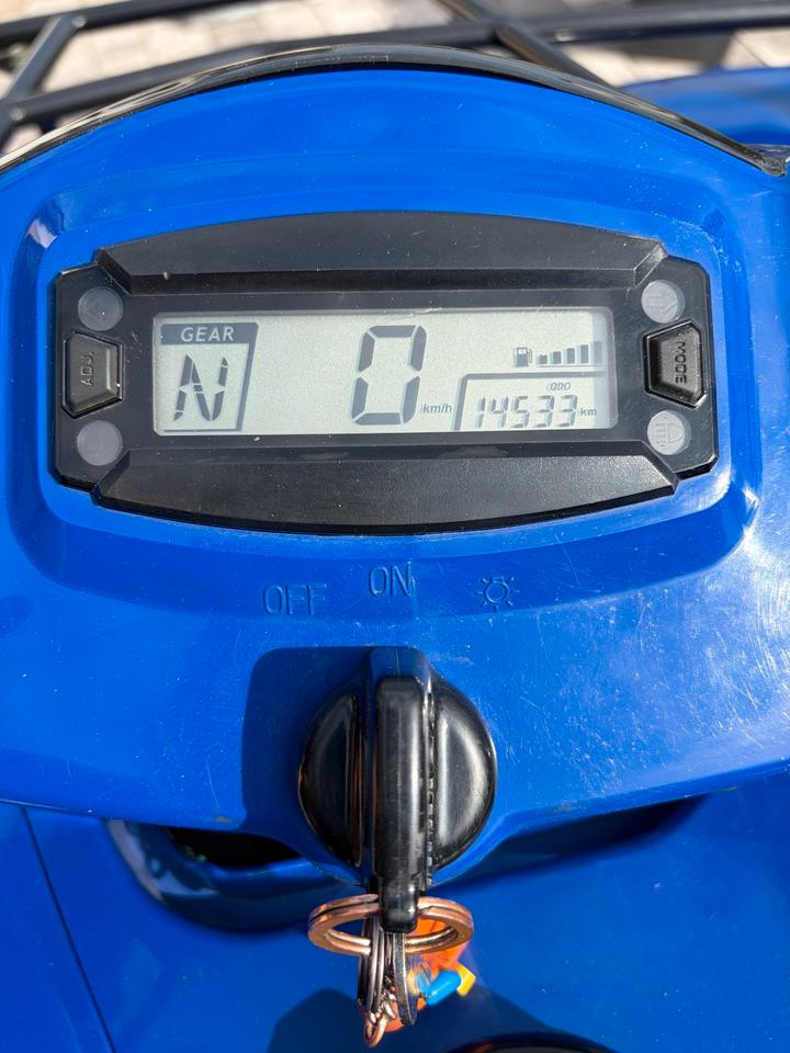 Kymco MXU 250 R Quad 2011 — photo 5