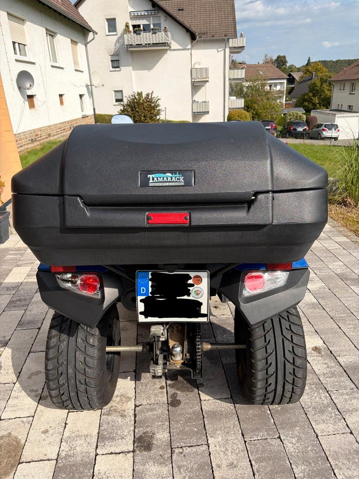 Kymco MXU 250 R Quad 2011 — photo 7
