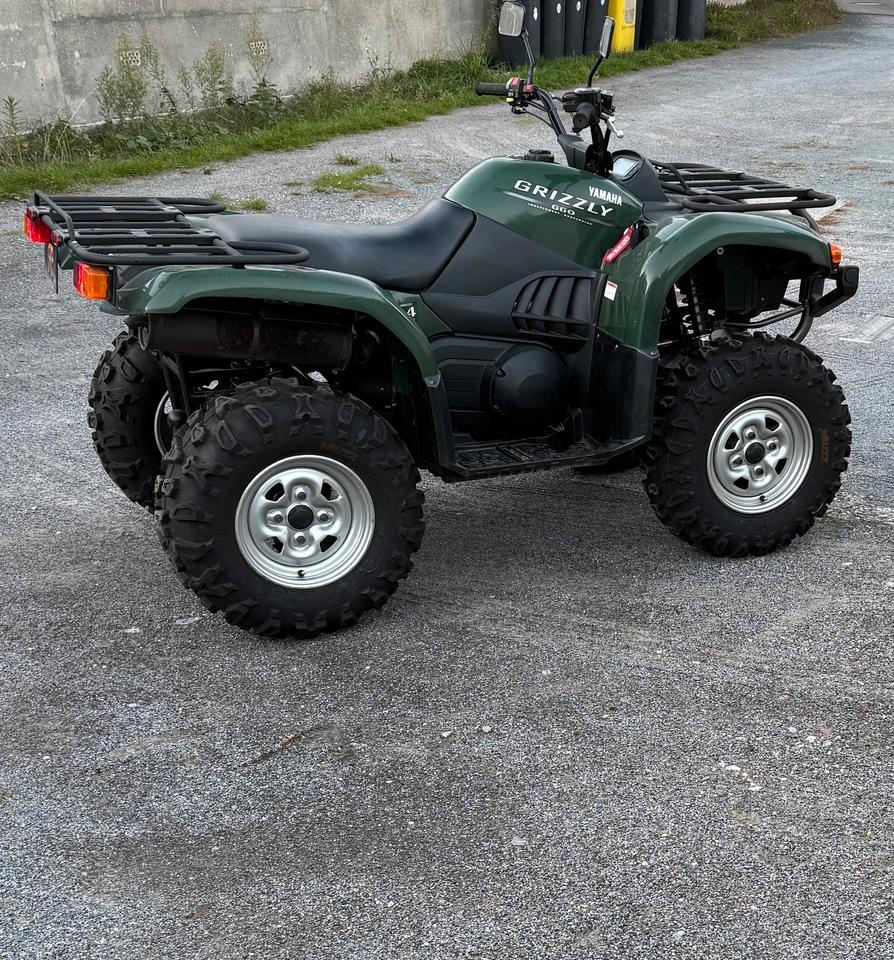 Yamaha Gelöscht • Yamaha Grizzly 660 Quad mit LoF-Zulassung 2005 — вигляд ззаду