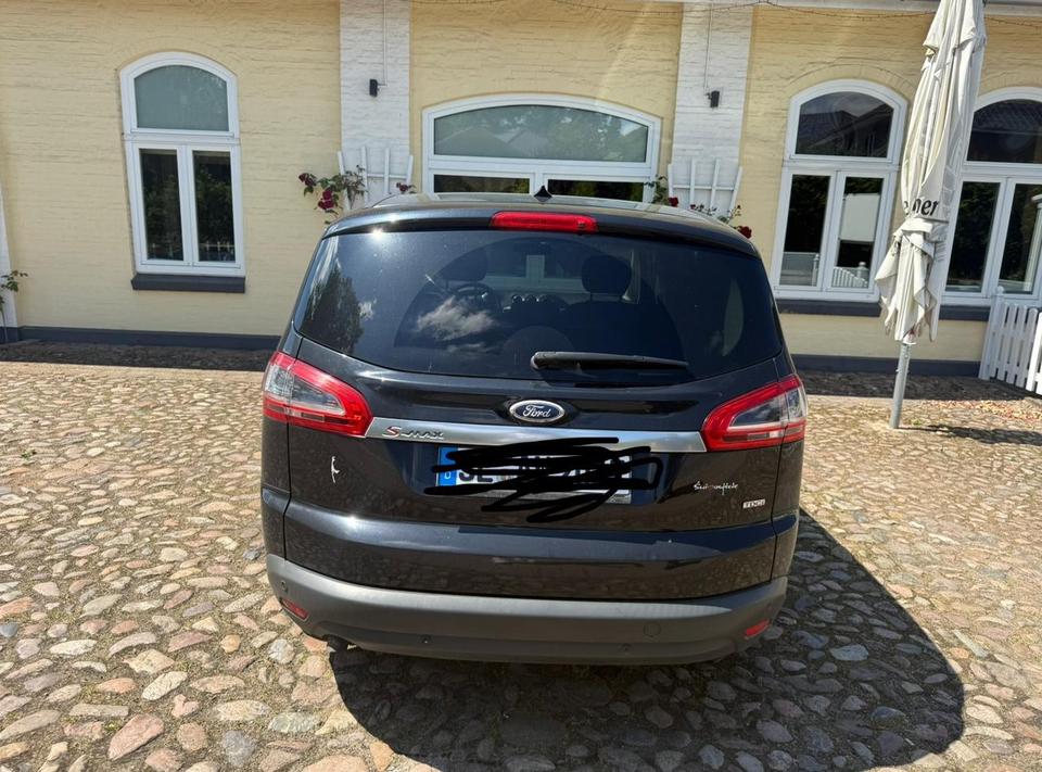 Ford S-Max 2010 — вигляд ззаду