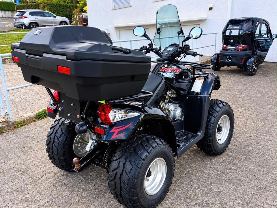 Kymco MXU 250 2005 — photo 6