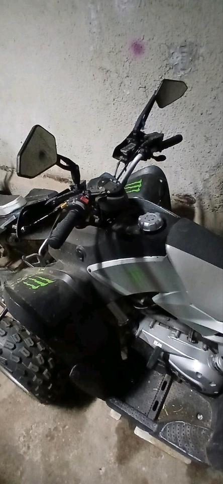Yamaha Quad Aeon Cobra 350ccm mit Straßenzulassung 2009 — вигляд ззаду