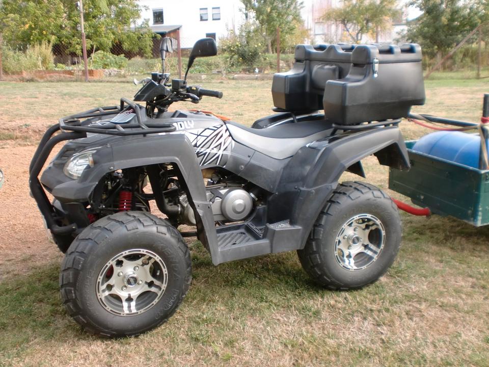 Weitere Motorräder Gelöscht • Quad Adly 320 2012 — вигляд ззаду