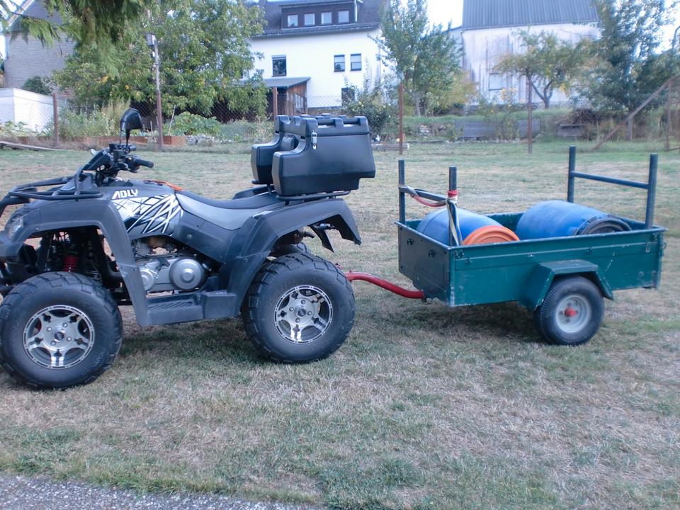 Weitere Motorräder Gelöscht • Quad Adly 320 2012 — салон