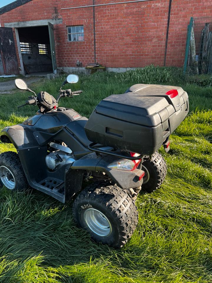 Kymco Gelöscht • TOP - Kymco MXU 250 Quad mit AHK und TÜV möglich 2011 — interior