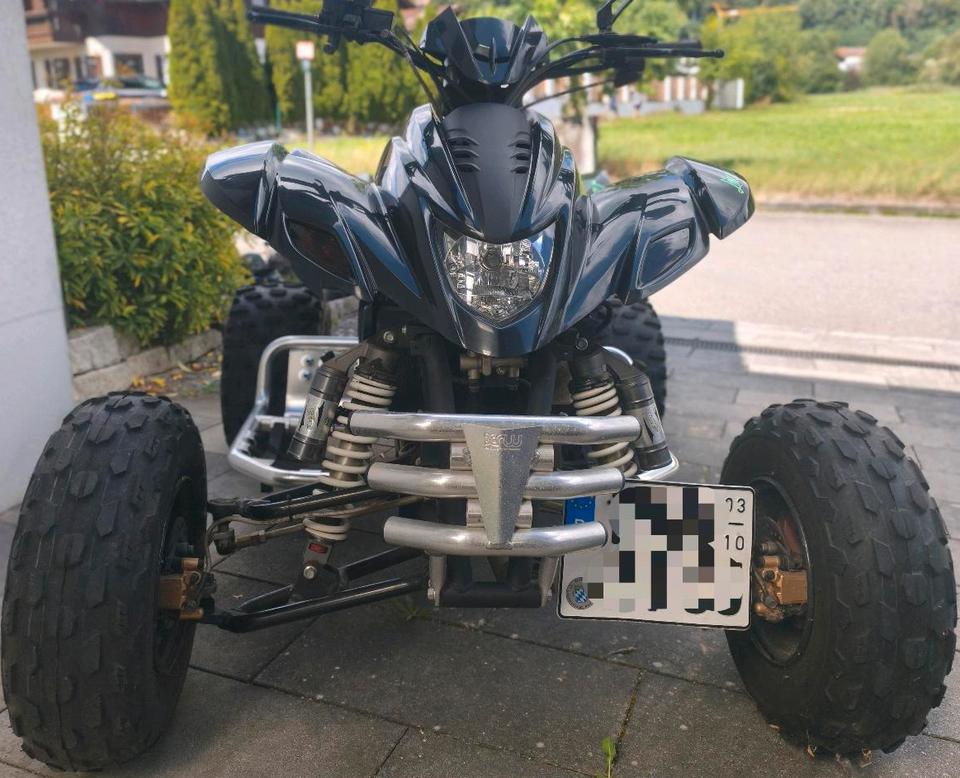Weitere Motorräder Quad Dinli 450 2015 — rear view