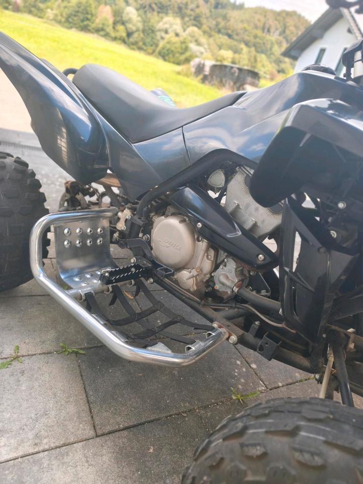 Weitere Motorräder Quad Dinli 450 2015 — engine 450 ccm