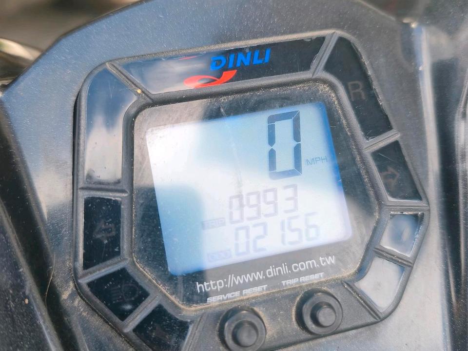 Weitere Motorräder Quad Dinli 450 2015 — photo 5