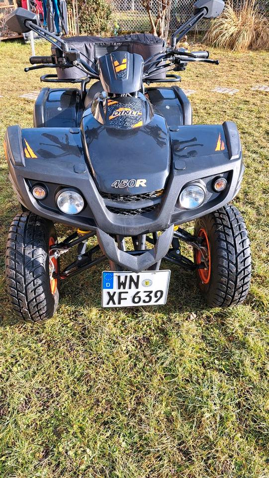 Weitere Motorräder Dinli 450cc 2012 — interior