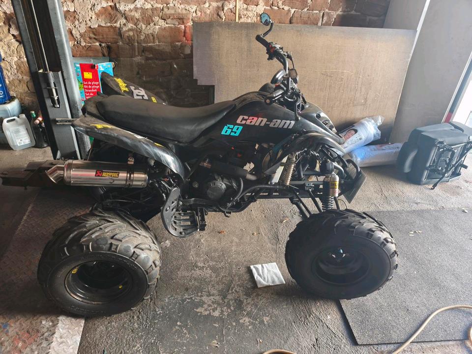 Weitere Motorräder bashan 200 Quad akrapovic 2008 — вигляд ззаду