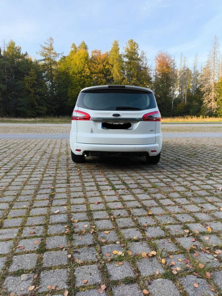 Ford S-Max 2010 — rear view