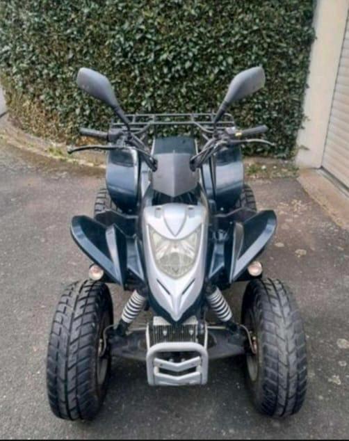  Gelöscht • E-Ton Viper ST 150 Quad 2006 — вигляд ззаду