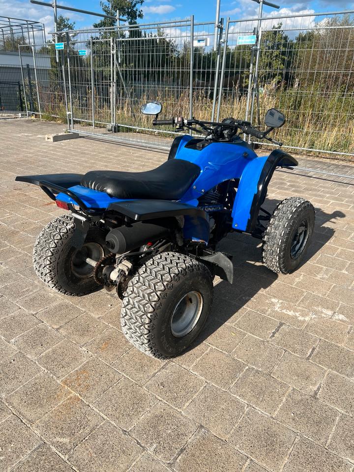 Weitere Motorräder ATV 300ccm 2006 — rear view