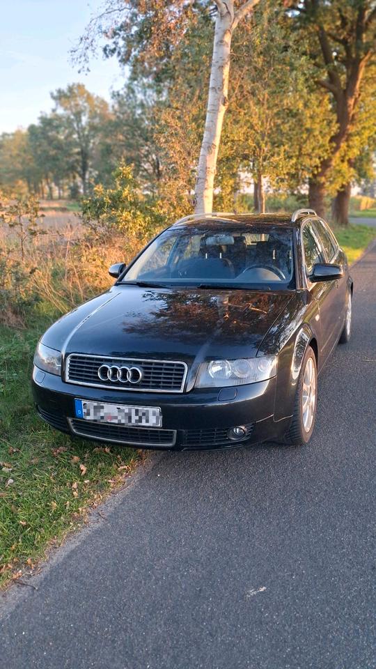 Audi A4 2004 — вигляд ззаду
