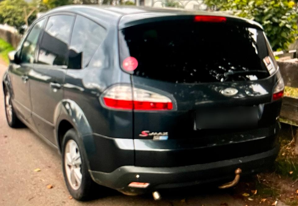 Ford S-Max 2009 — вигляд ззаду