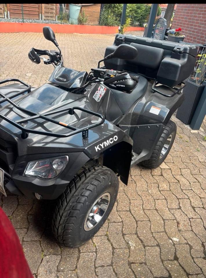 Kymco Quad KYMCO MXU 300R 2010 — вигляд ззаду
